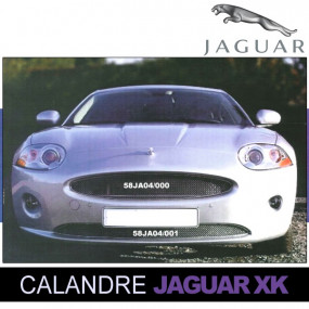 Grilles de calandre pour Jaguar XK/XKR cabriolet 2007/2015 (haut)