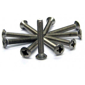 Set of 10 screws 20x4mm stainless steel