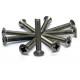 Vis RVS 20x4mm