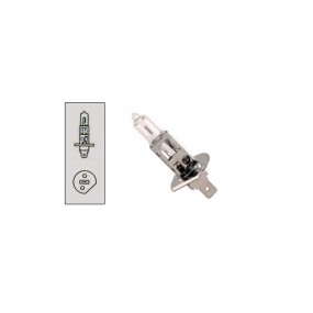 H1 55w 12v gloeilamp (lamp) P14.5S basis