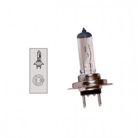 H7 55w 12v bulb PX26DT base