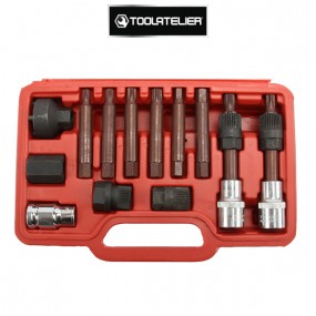 Multi-brand disengageable alternator pulley dismantling kit (13 pieces) - ToolAtelier