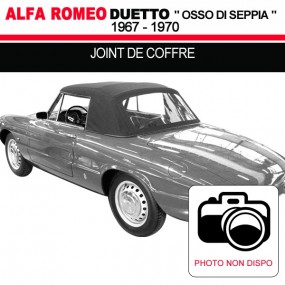 Alfa Romeo Spider Duetto Cabrio-Kofferraumdichtung