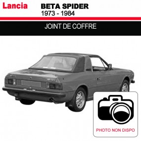 Boot seal for Lancia Beta Spider convertibles