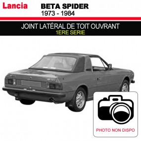 Sunroof side seal for Lancia Beta Spider convertibles